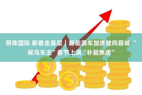 明珠国际 新春走基层｜新能源车加速驶向县城 “候鸟车主”春节上演“补能焦虑”