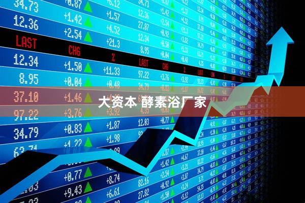 大资本 酵素浴厂家