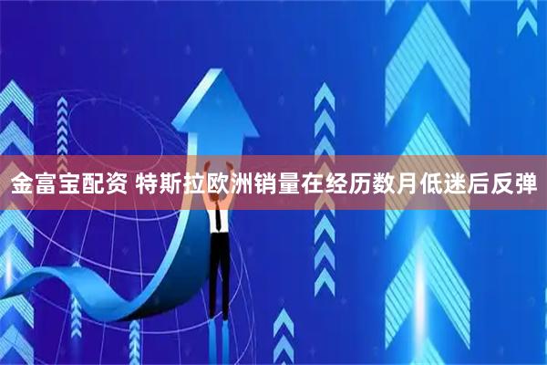 金富宝配资 特斯拉欧洲销量在经历数月低迷后反弹