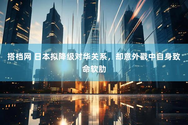 搭档网 日本拟降级对华关系，却意外戳中自身致命软肋
