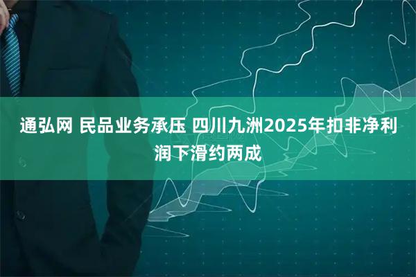 通弘网 民品业务承压 四川九洲2025年扣非净利润下滑约两成