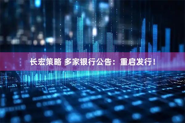 长宏策略 多家银行公告：重启发行！