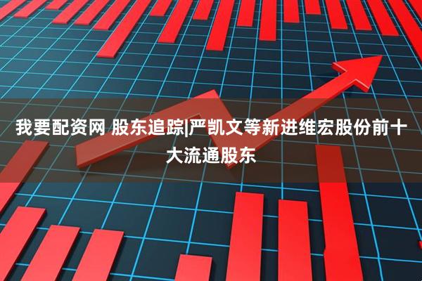 我要配资网 股东追踪|严凯文等新进维宏股份前十大流通股东
