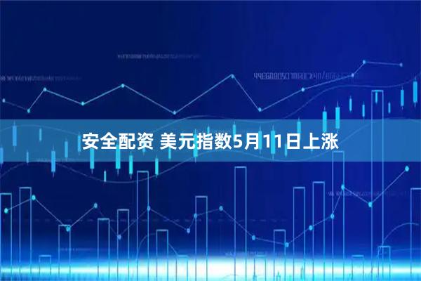 安全配资 美元指数5月11日上涨