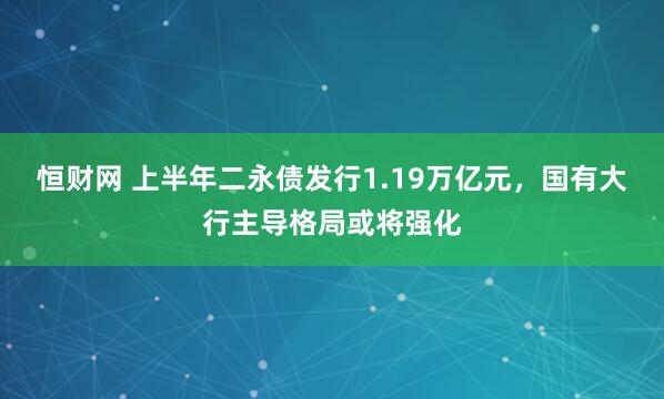恒财网 上半年二永债发行1.19万亿元，国有大行主导格局或将强化
