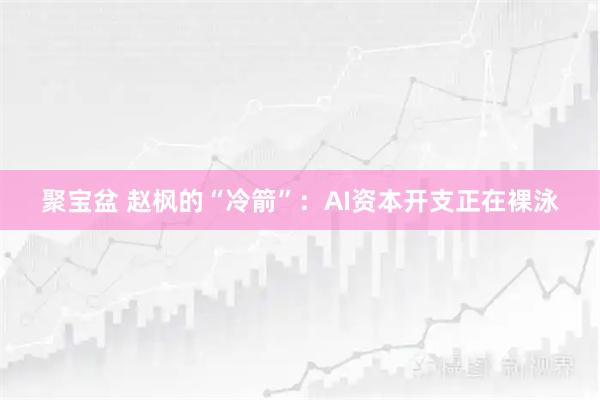 聚宝盆 赵枫的“冷箭”：AI资本开支正在裸泳