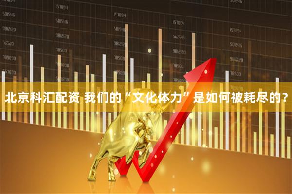 北京科汇配资 我们的“文化体力”是如何被耗尽的？