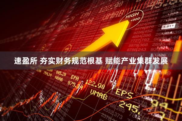 速盈所 夯实财务规范根基 赋能产业集群发展